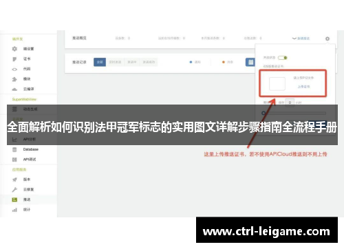 全面解析如何识别法甲冠军标志的实用图文详解步骤指南全流程手册