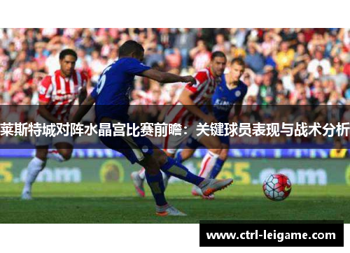 莱斯特城对阵水晶宫比赛前瞻：关键球员表现与战术分析